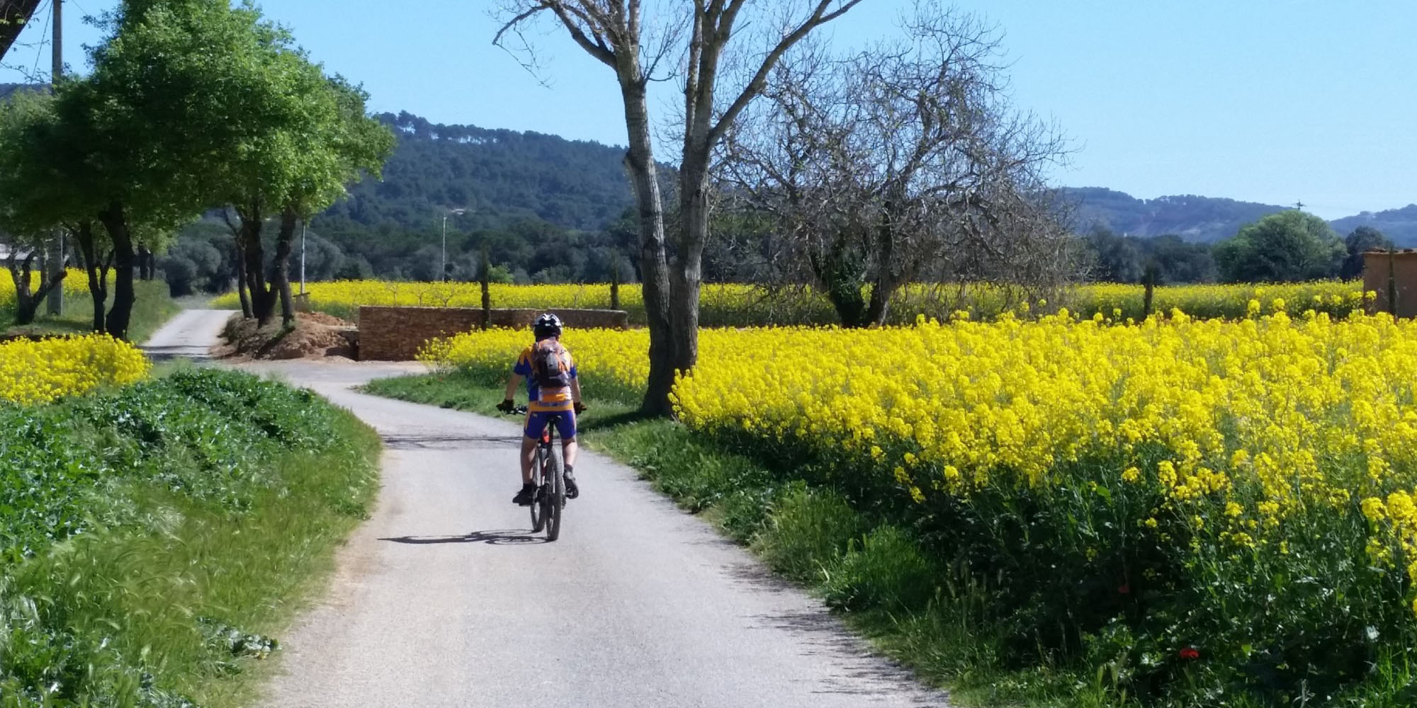 Fietsverhuur: routes voor iedereen